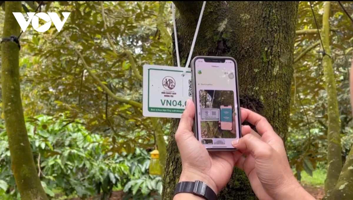 Gắn mã truy xuất nguồn gốc từ vườn giúp quản lý hiệu quả, minh bạch thông tin trên từng sản phẩm nông sản.