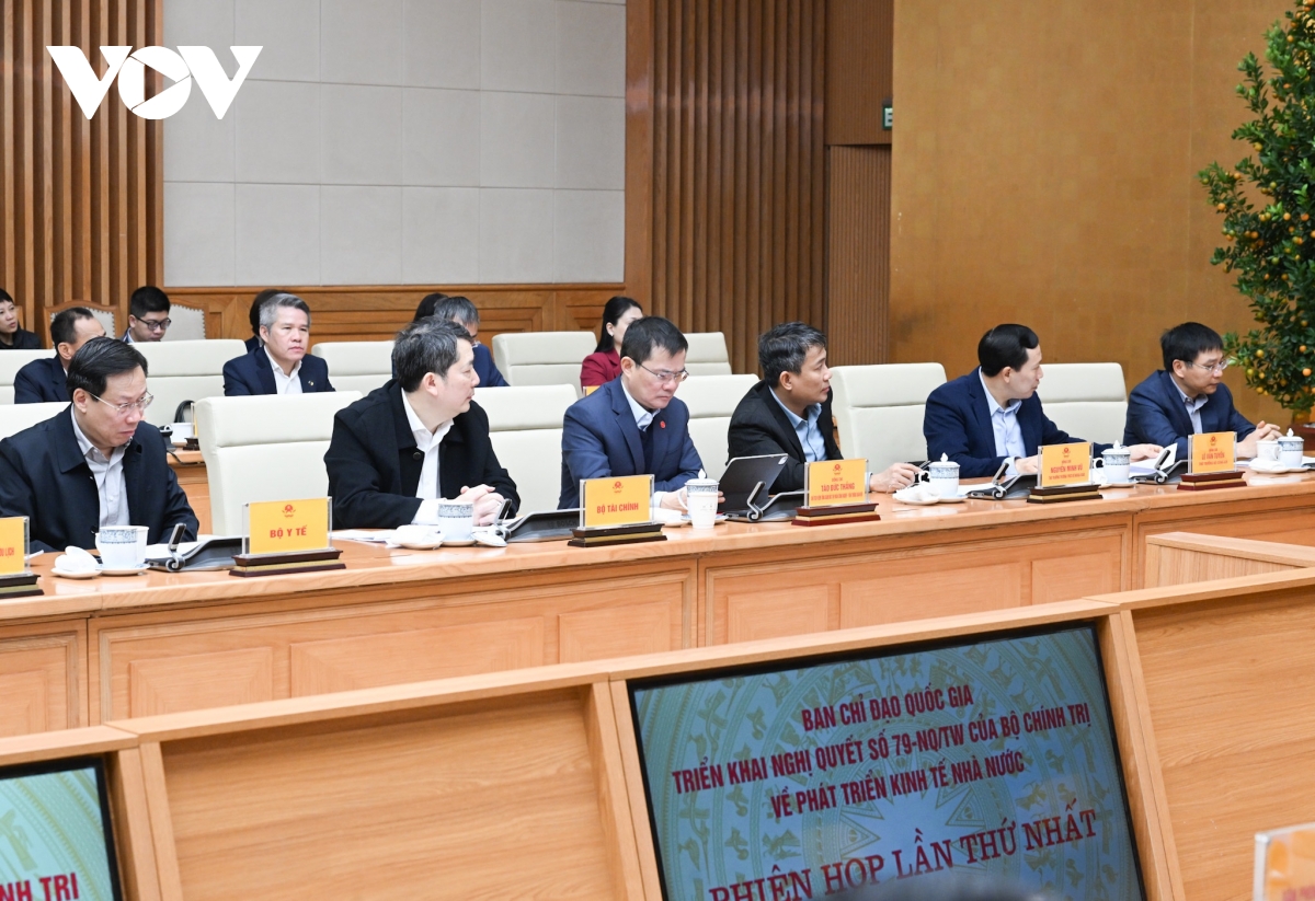 thu_tuong_chu_tri_phien_hop_thu_nhat_ban_chi_dao_quoc_gia_ve_phat_trien_kinh_te_nha_nuoc_3.jpg