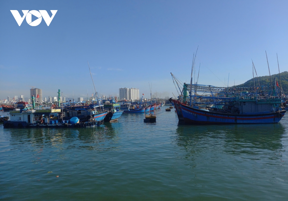 tinh_khanh_hoa_hien_co_doi_tau_ca_voi_so_luong_lon_vuon_khoi_bam_bien_truong_sa.jpg