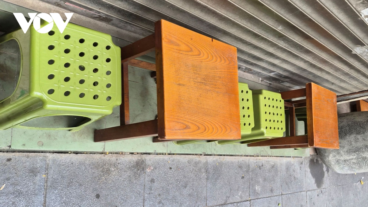 Tôi đã quyết là cả nhà răm rắp tuân theo!