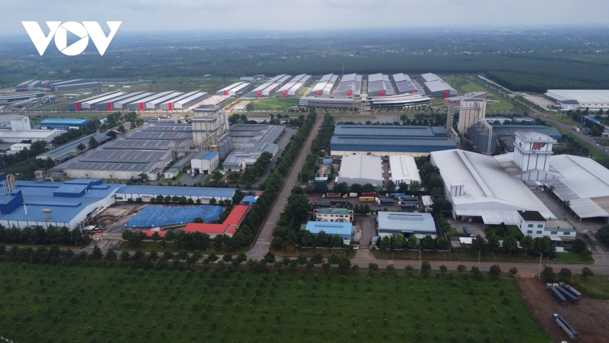 DN TP truc thuoc TW .jpg