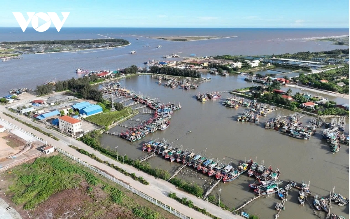 cảng cá Ninh Cơ.jpg