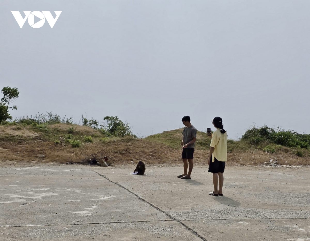 Khỉ hoang dã tấn công du khách khi chơi đùa trên đường ven biển xã Hoà Xuân, tỉnh Đắk Lắk
