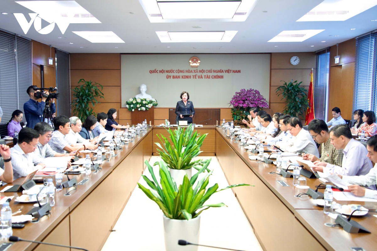 pho_chu_tich_quoc_hoi_nguyen_thi_hong_lam_viec_voi_uy_ban_kinh_te_va_tai_chinh_1.jpg