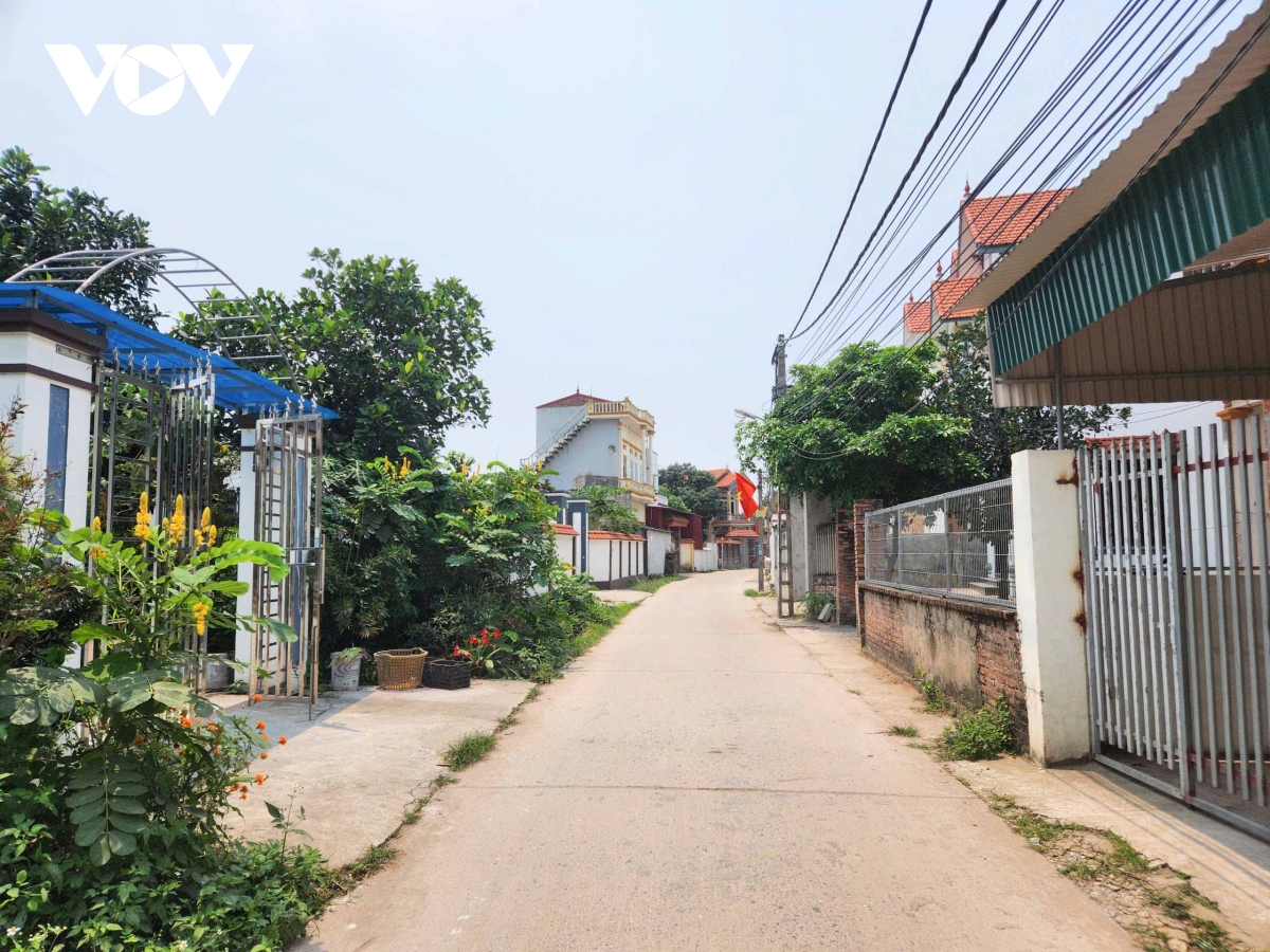 say_bay_gia_binh_18.jpg
