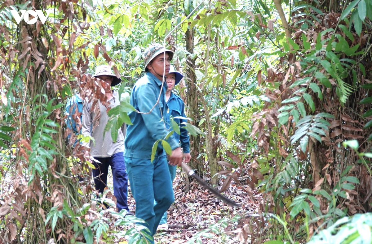1_cong_tac_tuan_tra_kiem_soat_pcccr_van_dang_duoc_cac_chu_rung_thuc_hien_theo_quy_dinh.jpg