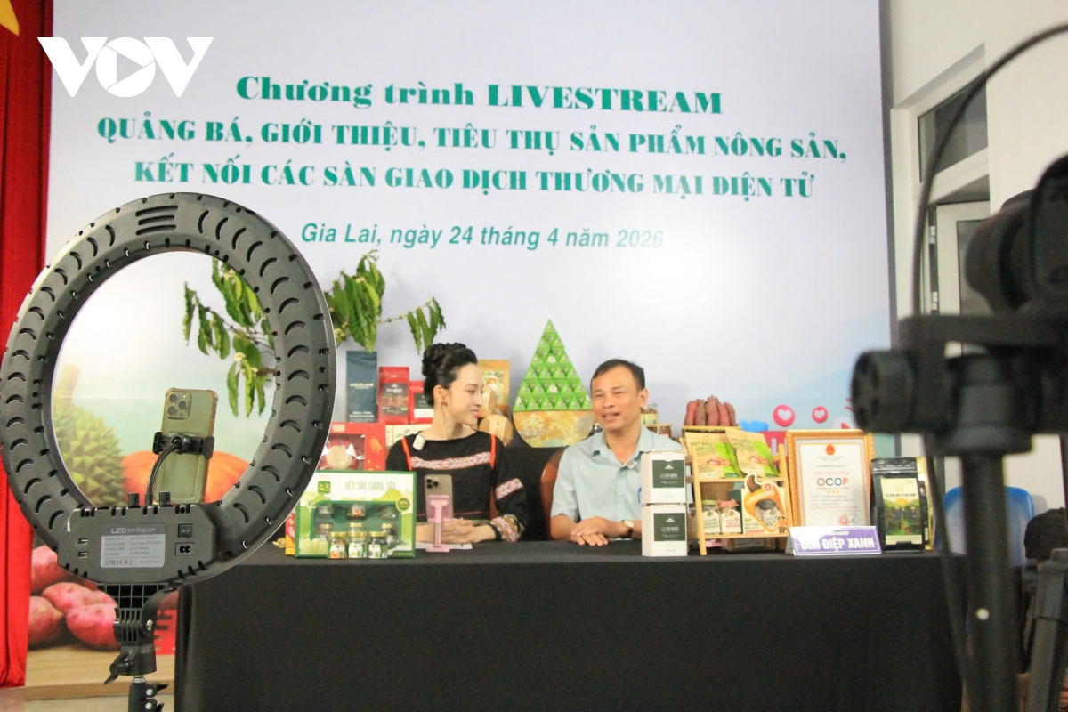 6-5-tu_cho_que_len_san_thuong_mai_dien_tu-_loi_mo_cho_nong_san_gia_lai-_anh_1.jpg