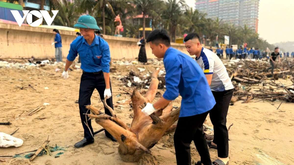 bai_chong_hai_tien_11.jpg