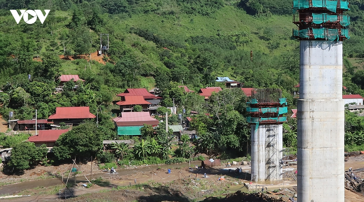 cao_toc_hoa_binh_14.jpg