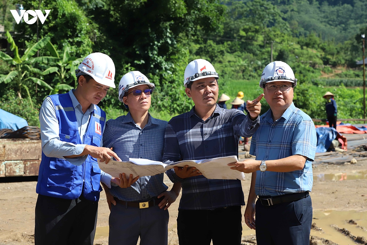 cao_toc_hoa_binh_8.jpg