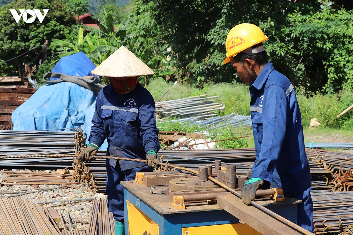 cao_toc_hoa_binh_9.jpg