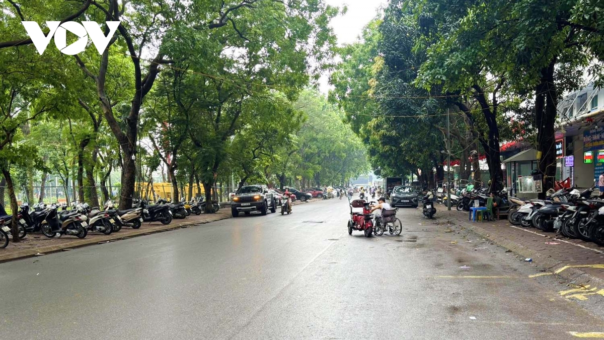 cho_linh_dam_1.jpg