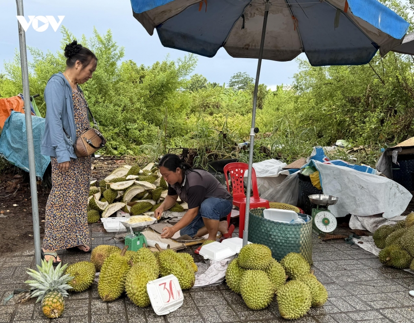 gia_sau_rieng_xuong_thap_nen_nhieu_nha_vuon_thua_lo1.jpg