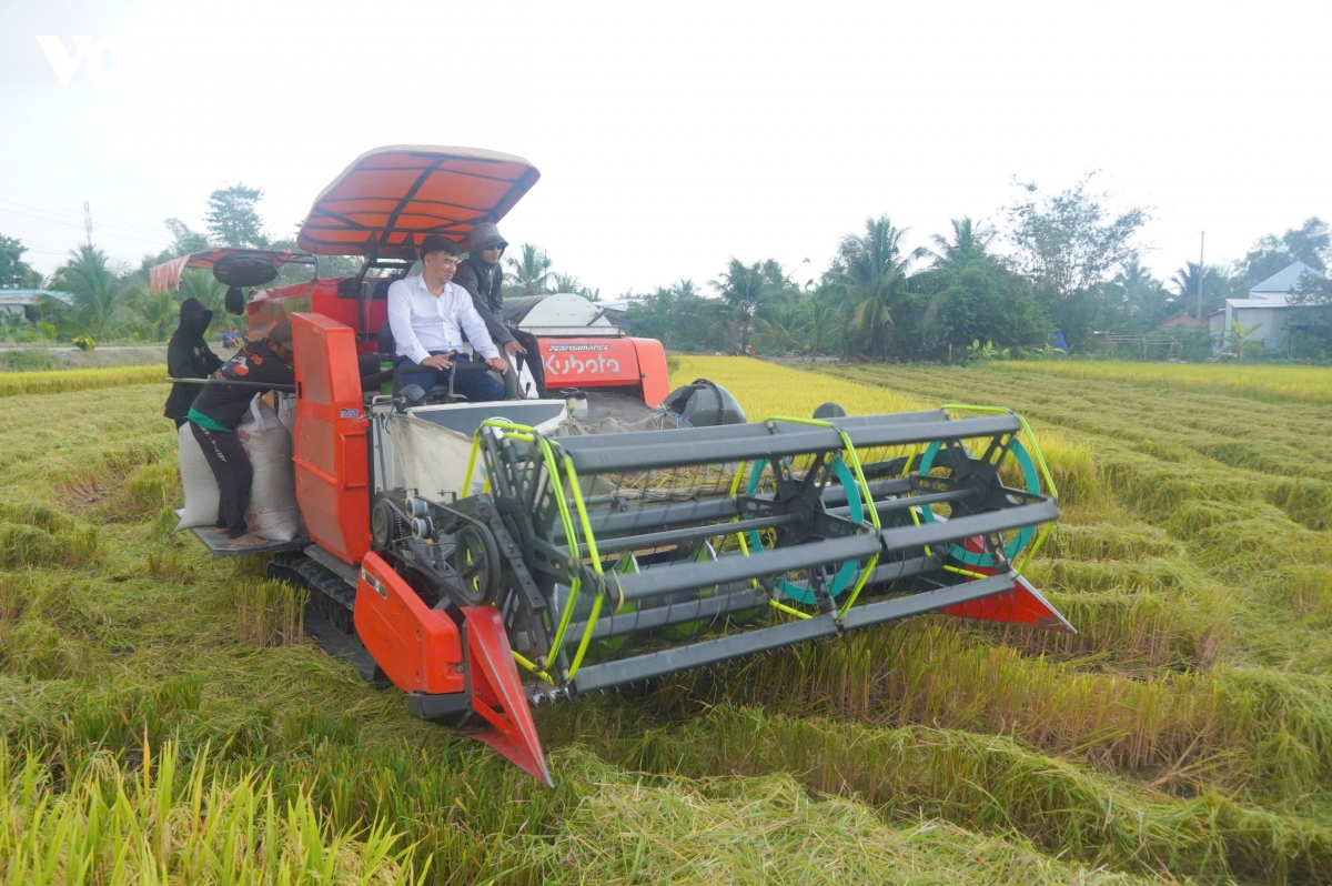 gia_tri_hat_gao_khong_chi_nam_o_nang_suat_ma_con_o_dau_chan_carbon_thap_cung_kha_nang_truy_xuat_nguon_goc_ro_rang.jpg