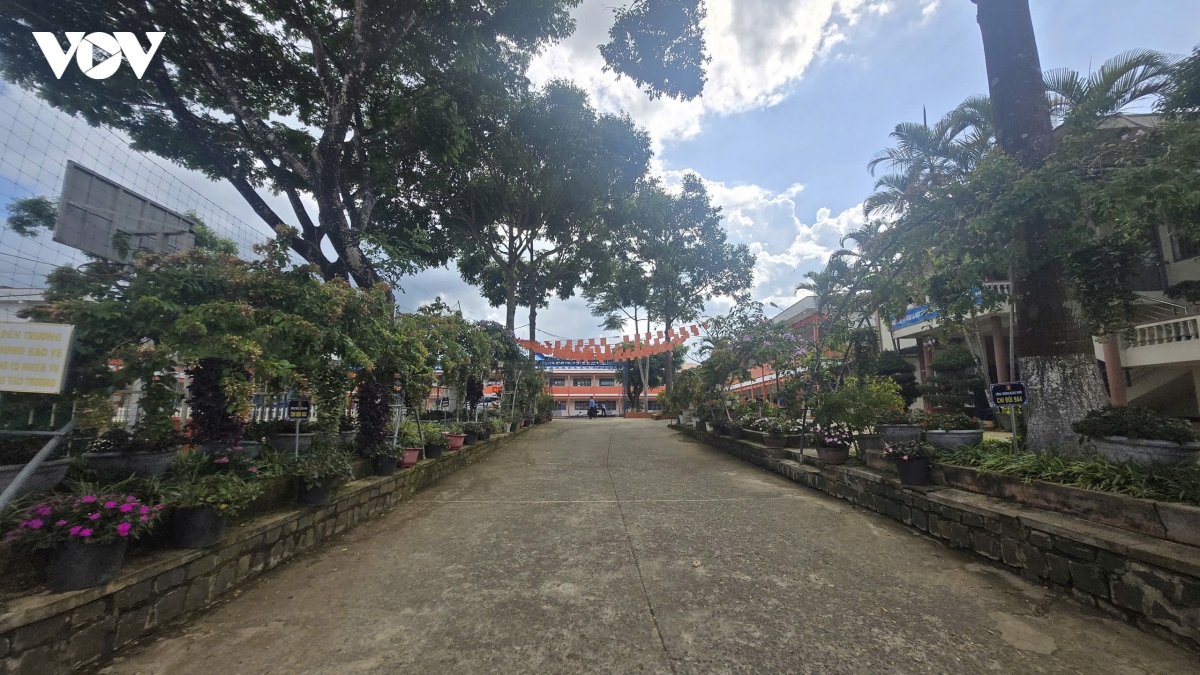khoi_to_bi_can_vu_nam_sinh_lop_8_tu_tu_do_bao_luc_hoc_duong_2.jpg
