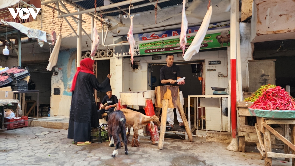 Một cửa hàng bán thịt dê tại Thủ đô Cairo, Ai Cập.