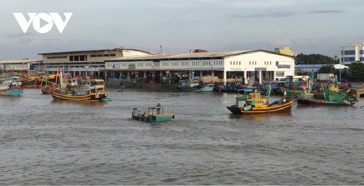 mot_goc_cang_ca_phan_thiet.jpg