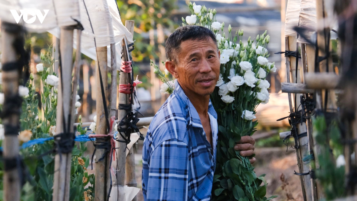nang_nong_8.jpg