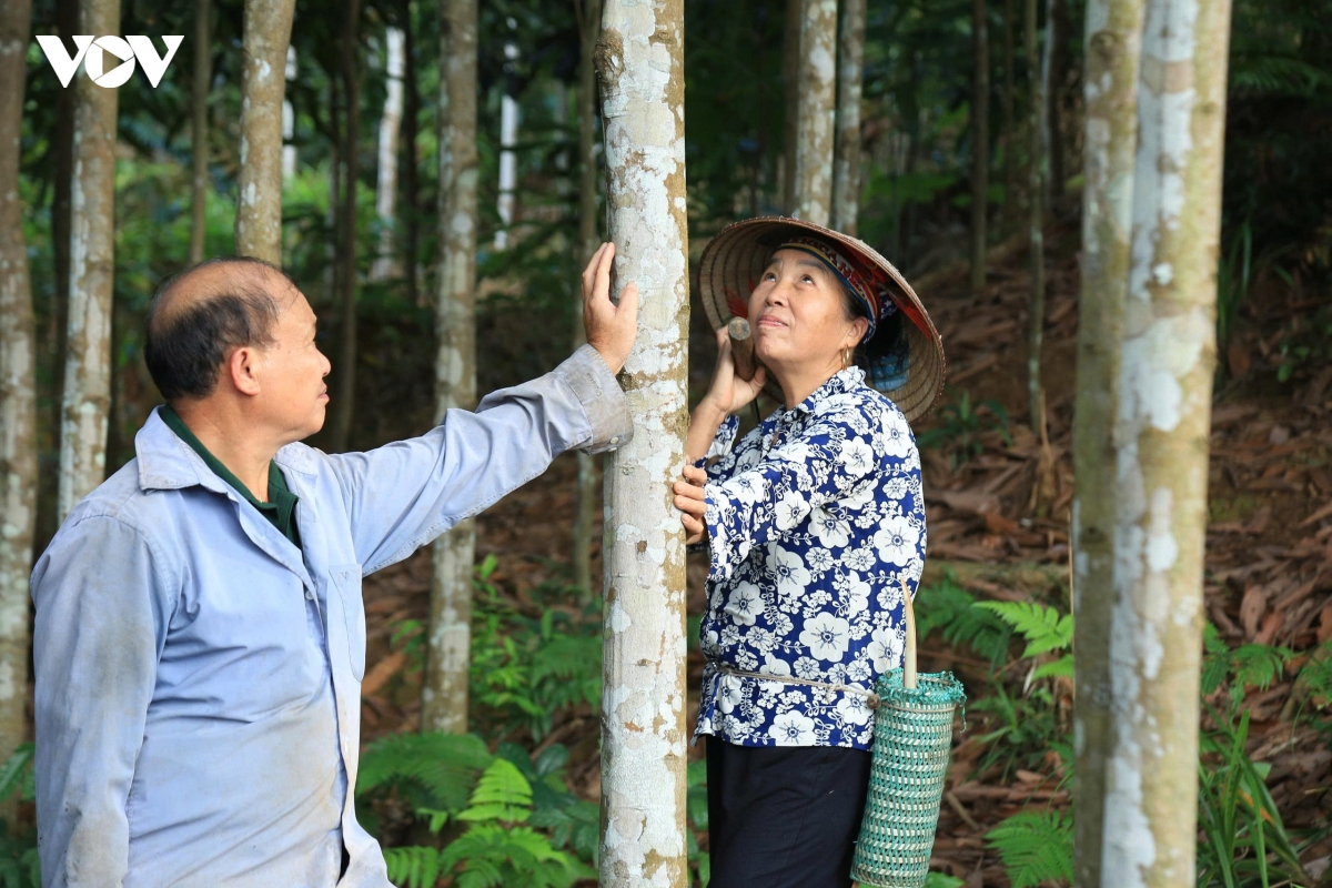 nhung_doi_que_tien_ty_xuat_hien_ngay_cang_nhieu_o_phuc_loi_20260518090219.jpg