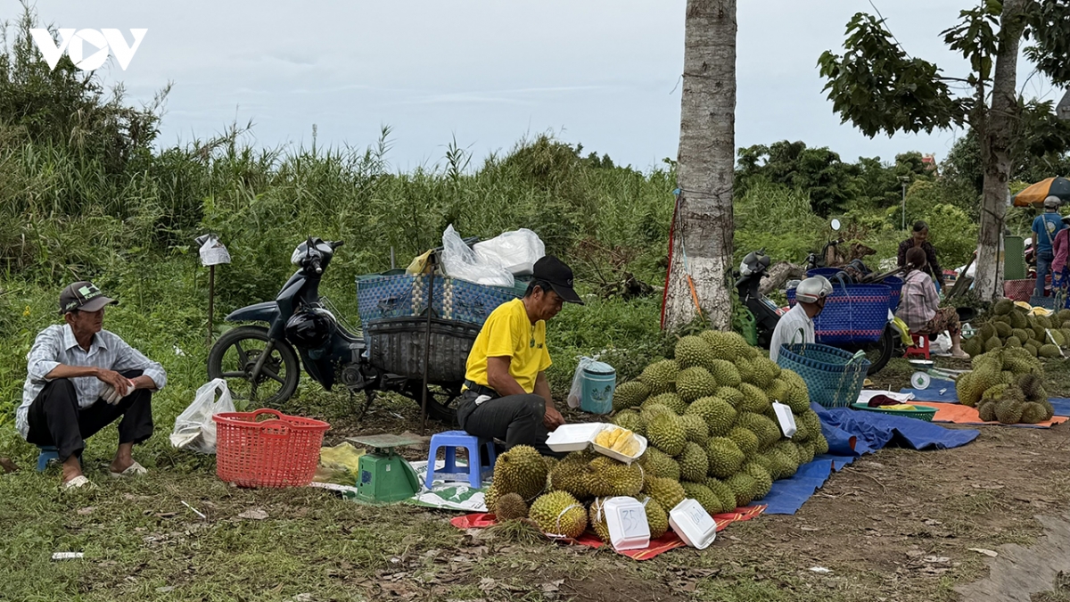 sau_rieng1.jpg