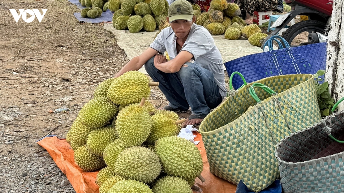 sau_rieng.jpg