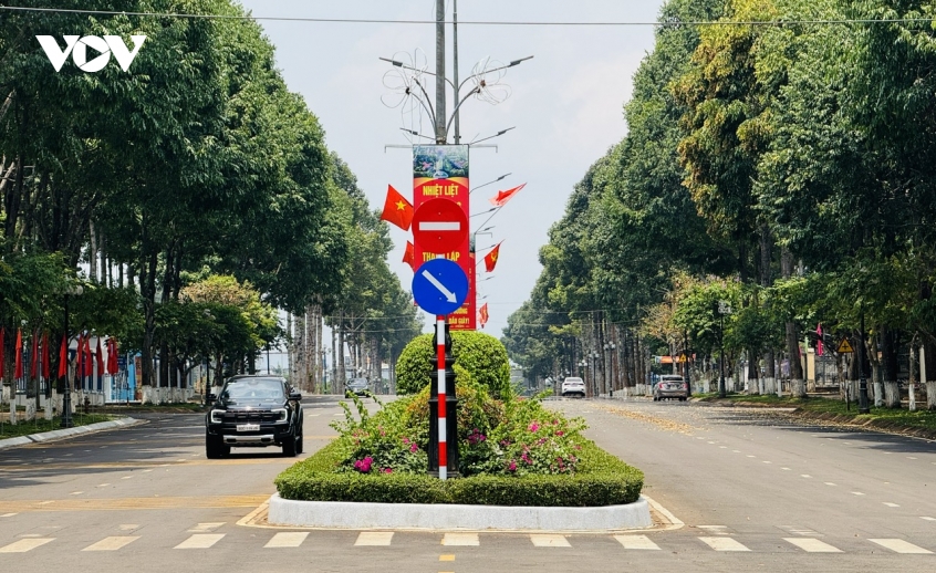 sau_rieng_daugiay_.jpg