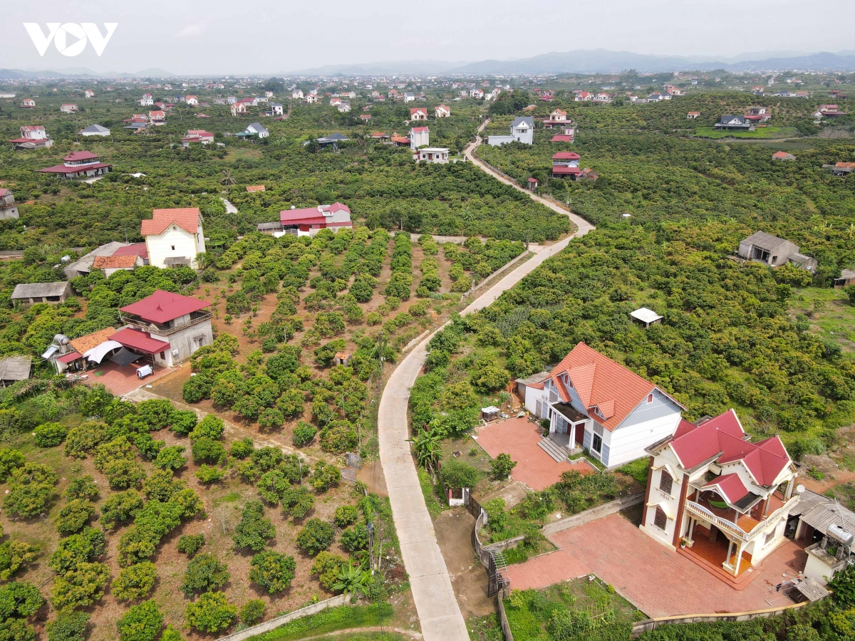 thu_phu_vai_thieu_1.jpg