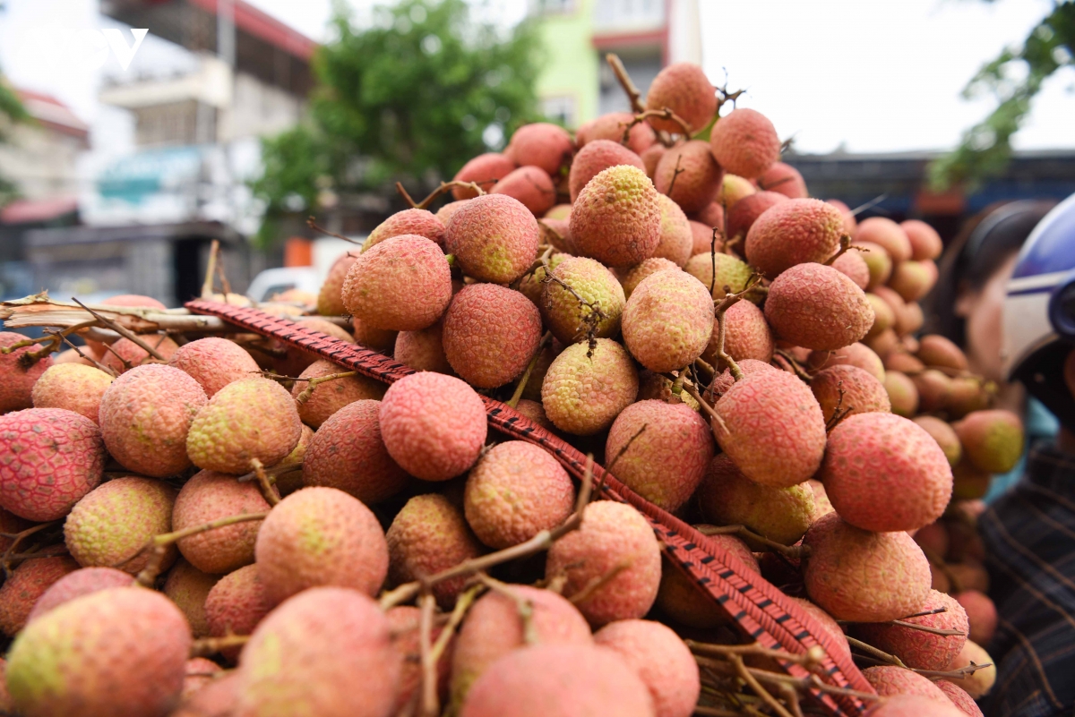 thu_phu_vai_thieu_3.jpg