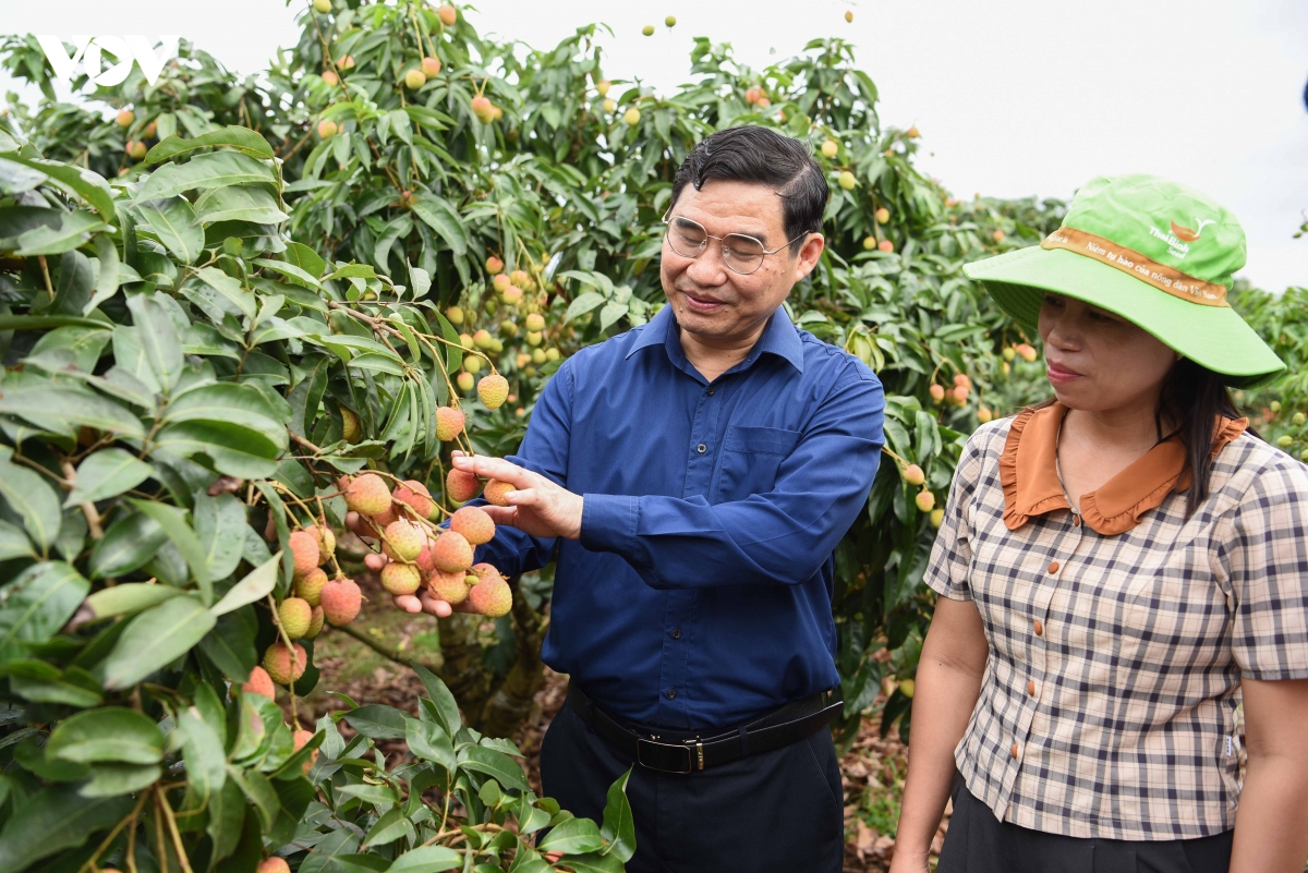 thu_phu_vai_thieu_5.jpg