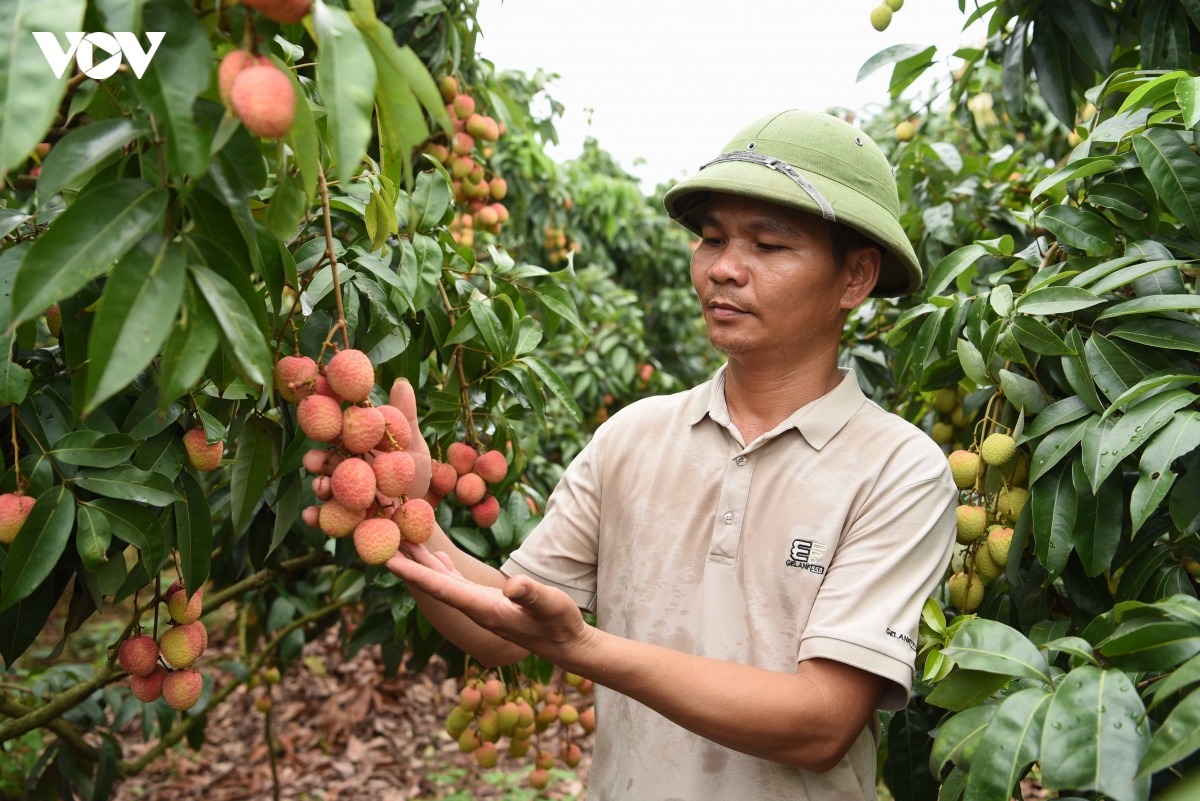 thu_phu_vai_thieu_6.jpg
