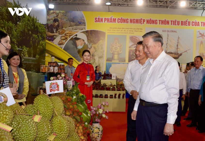 tong_bi_thu_chu_tich_nuoc_to_lam_lam_viec_voi_ban_thuong_vu_thanh_uy_dong_nai_2.jpg
