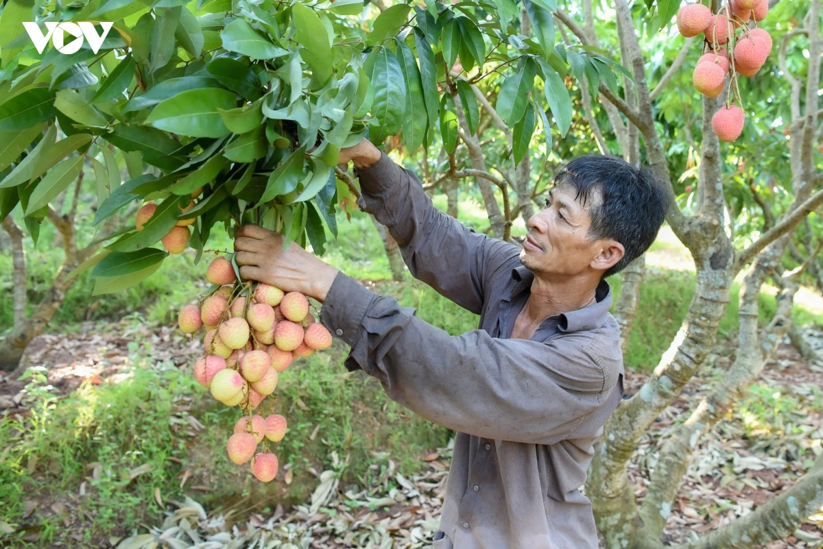 vai_thieu_phuc_hoa_10.jpg