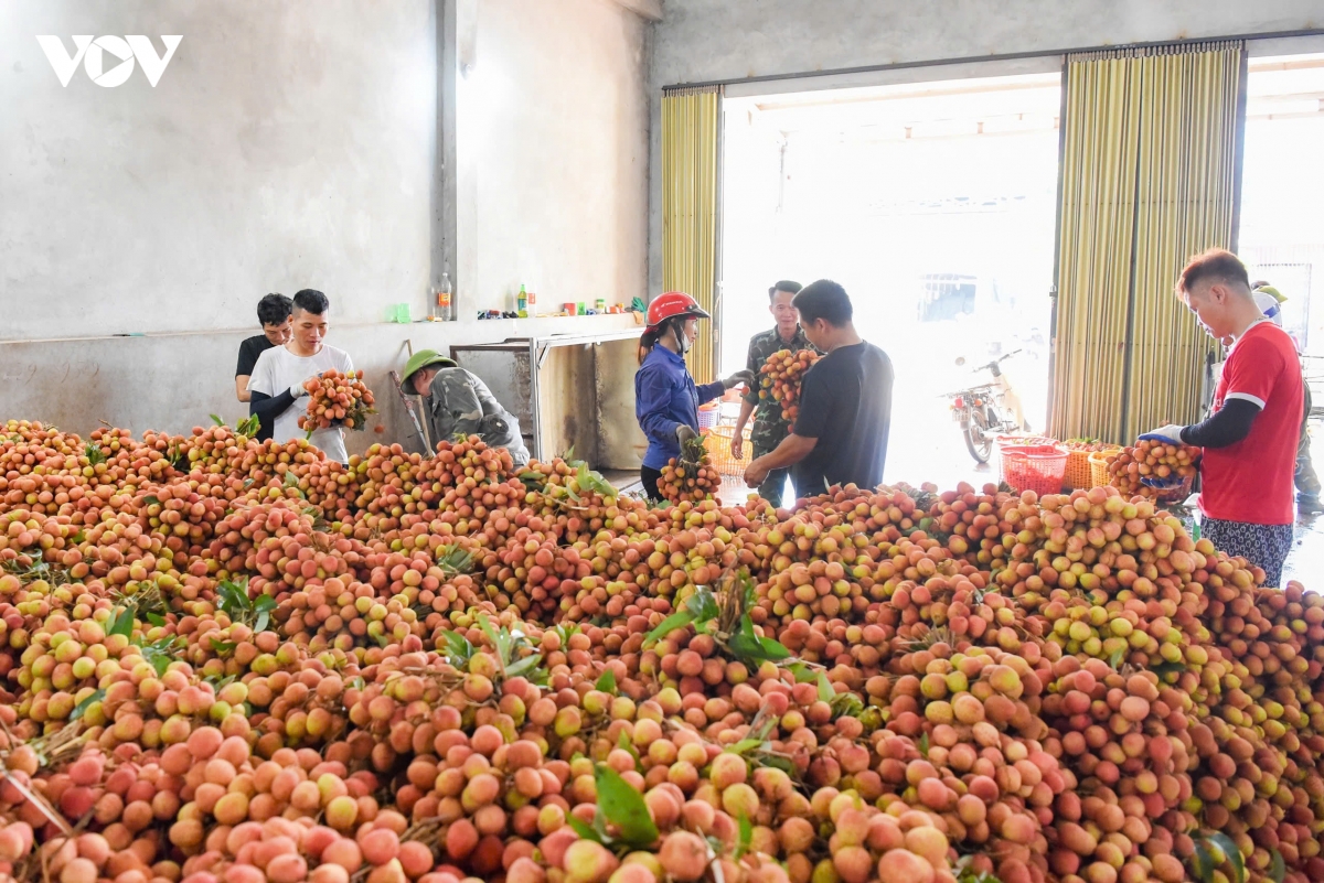 vai_thieu_phuc_hoa_13.jpg