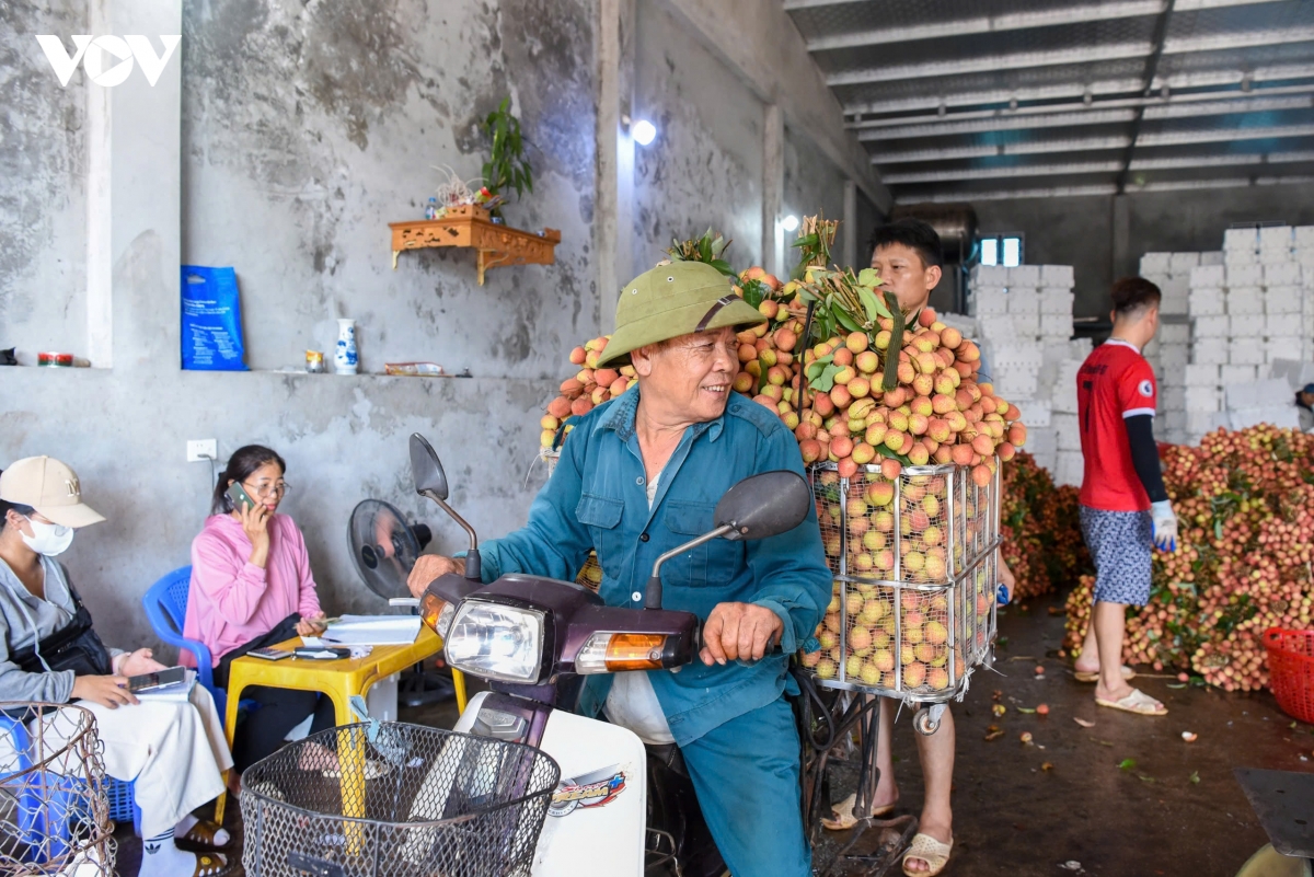vai_thieu_phuc_hoa_14.jpg