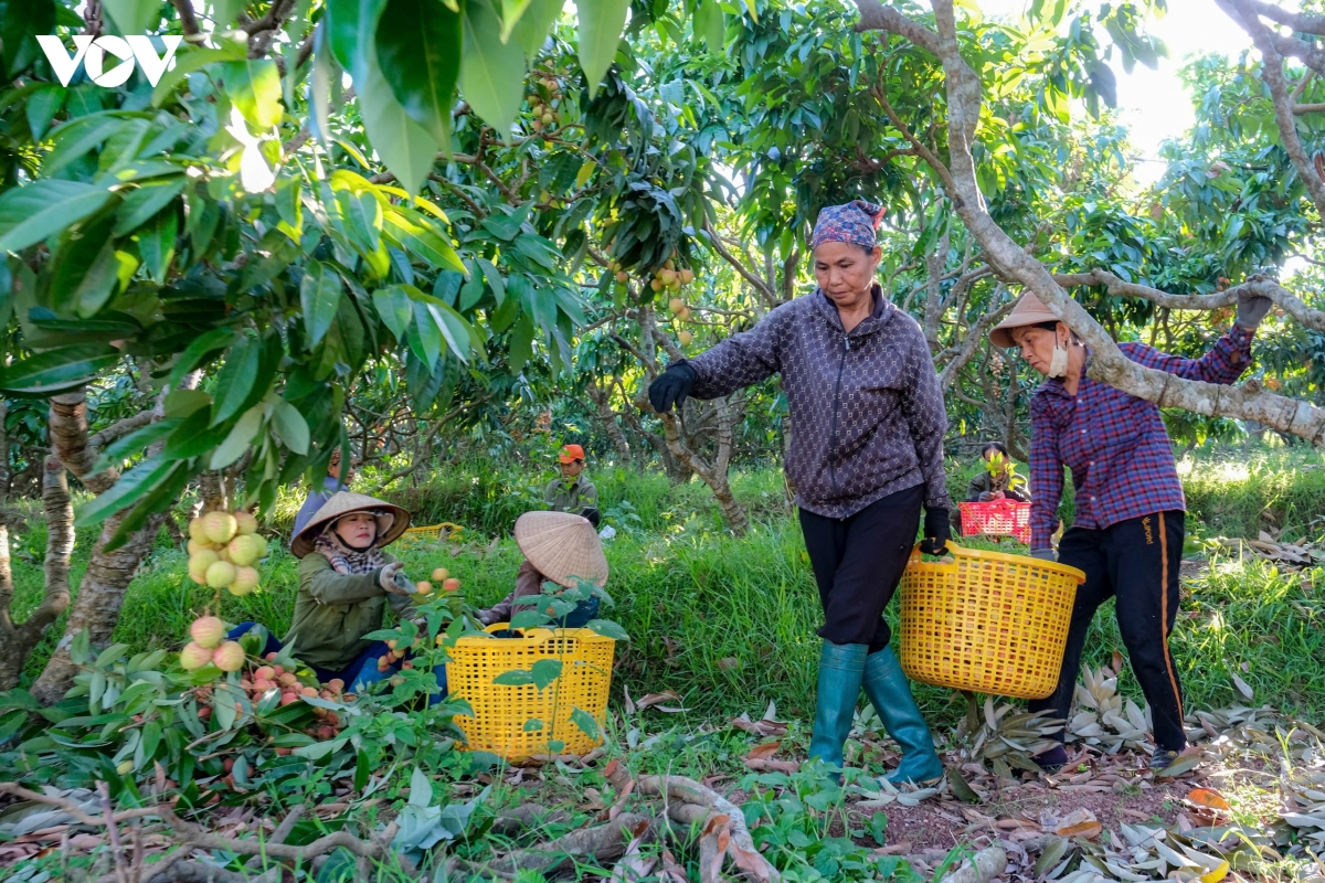vai_thieu_phuc_hoa_17.jpg