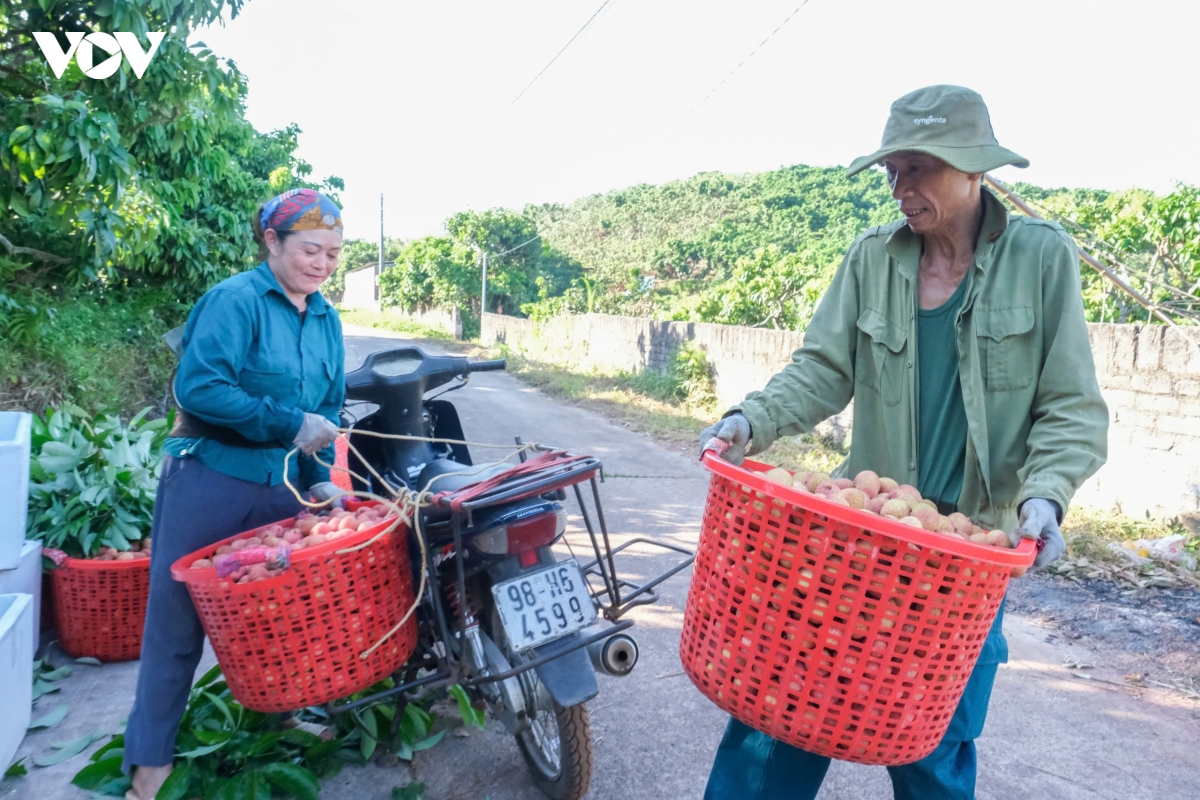 vai_thieu_phuc_hoa_18.jpg
