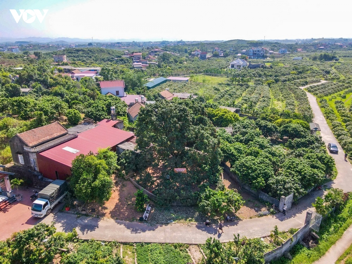 vai_thieu_phuc_hoa_1.jpg