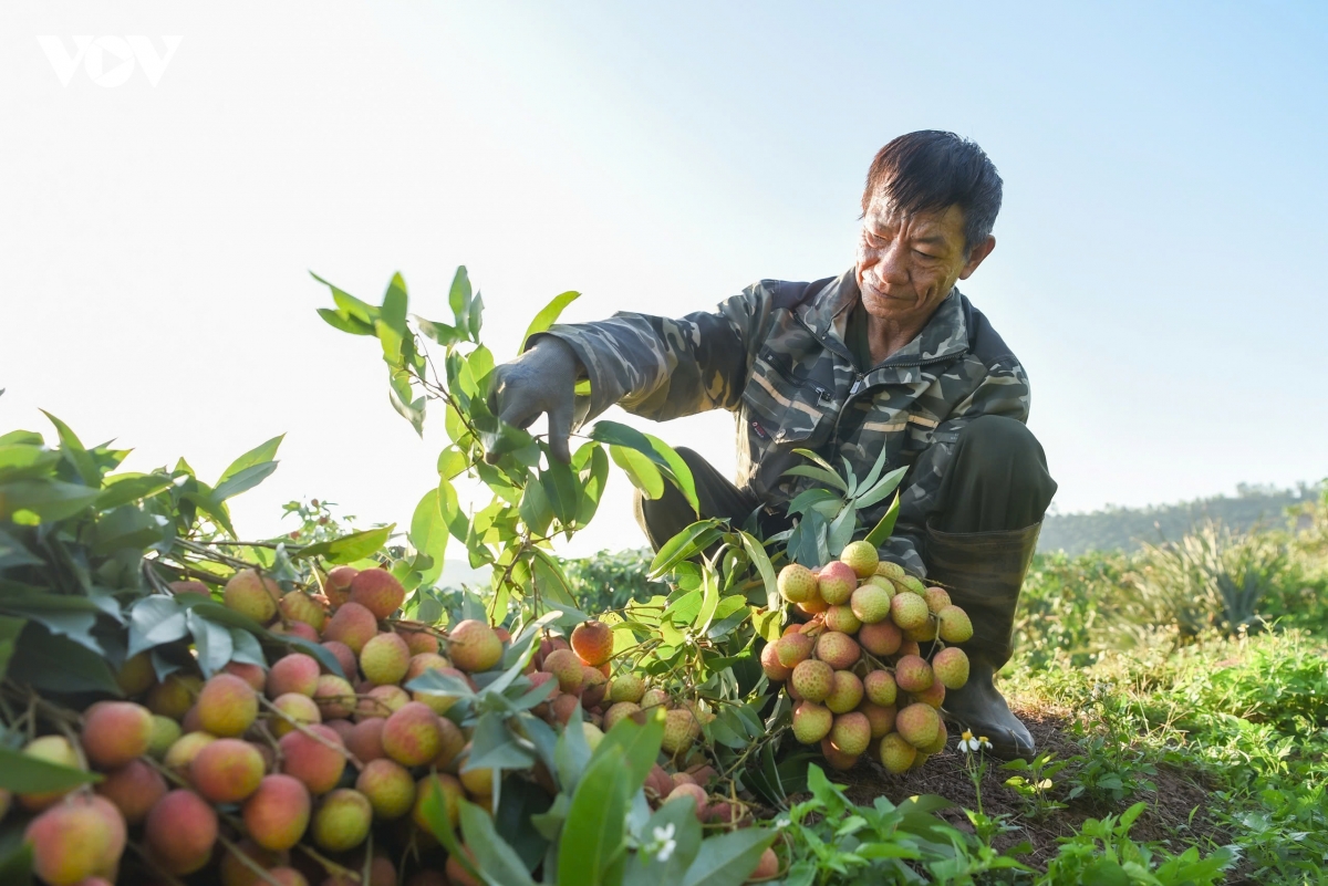 vai_thieu_phuc_hoa_4.jpg