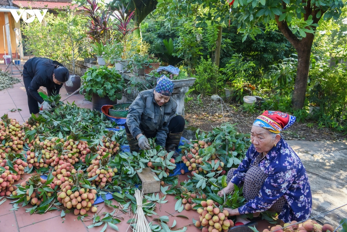 vai_thieu_phuc_hoa_6.jpg
