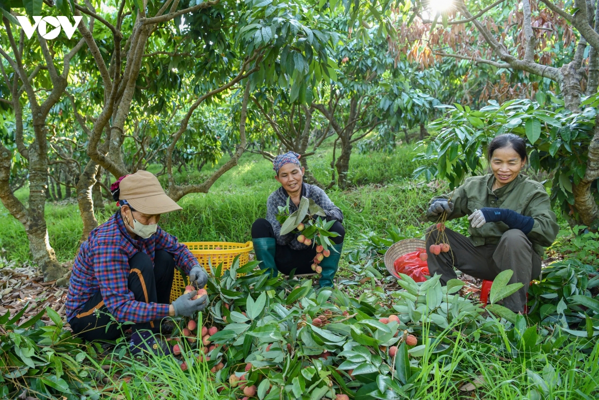 vai_thieu_phuc_hoa_8.jpg