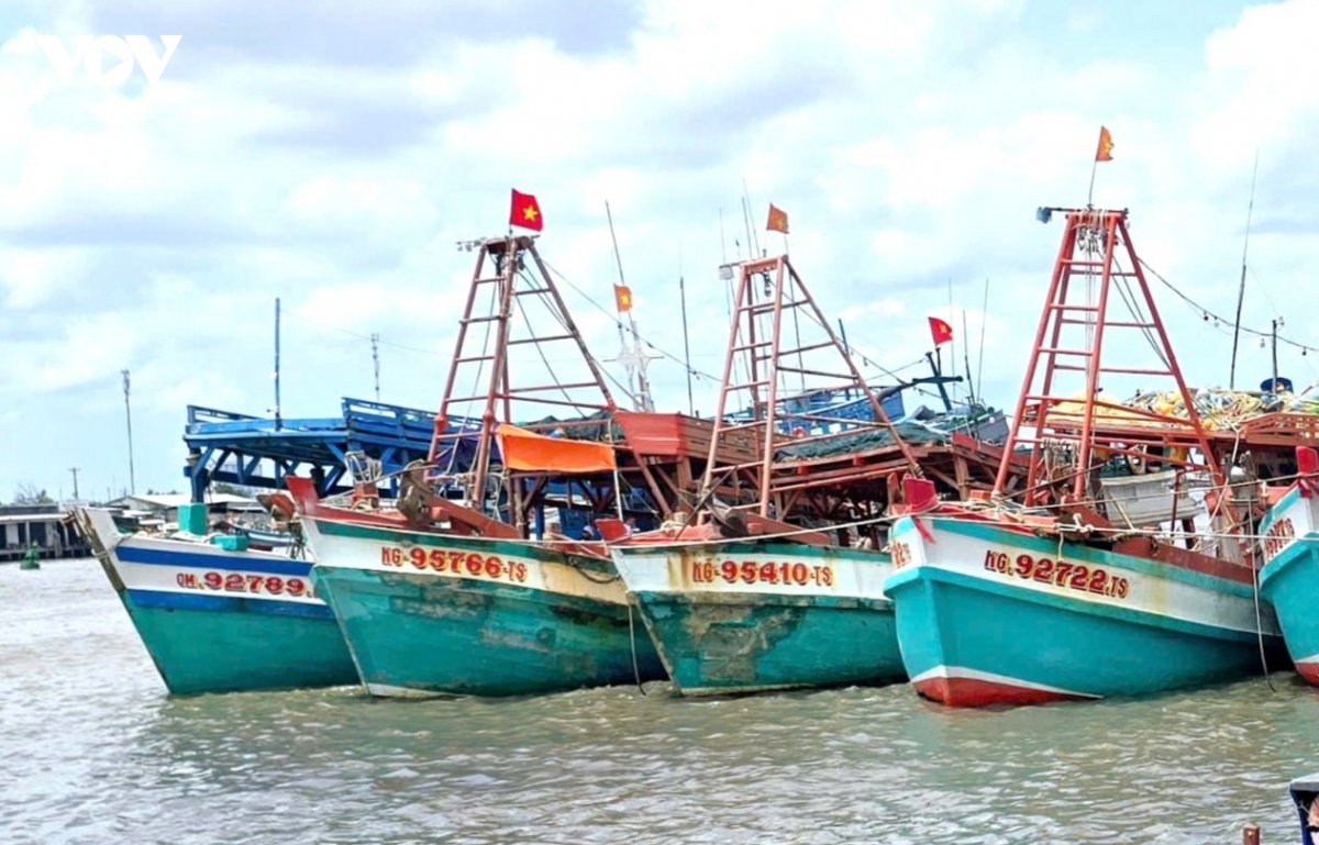 1_xa_song_doc_co_luong_tau_ca_lon_nhat_tinh_ca_mau.jpg