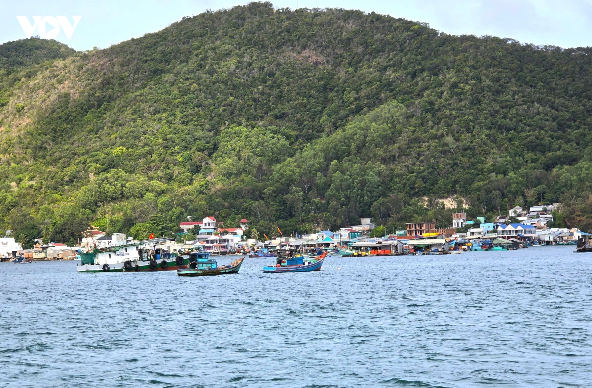 3_tai_dao_nam_du_toan_bo_tau_ca_da_duoc_so_hoa.jpg
