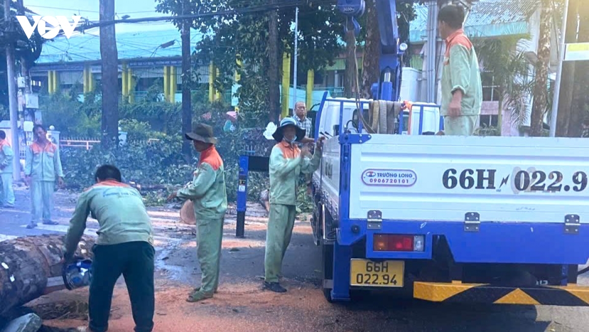 4_mua_dong_cao_lanh.jpg
