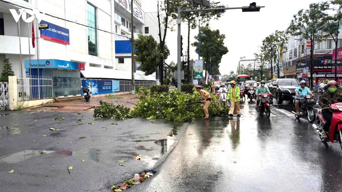 5_mua_dong_cao_lanh.jpg