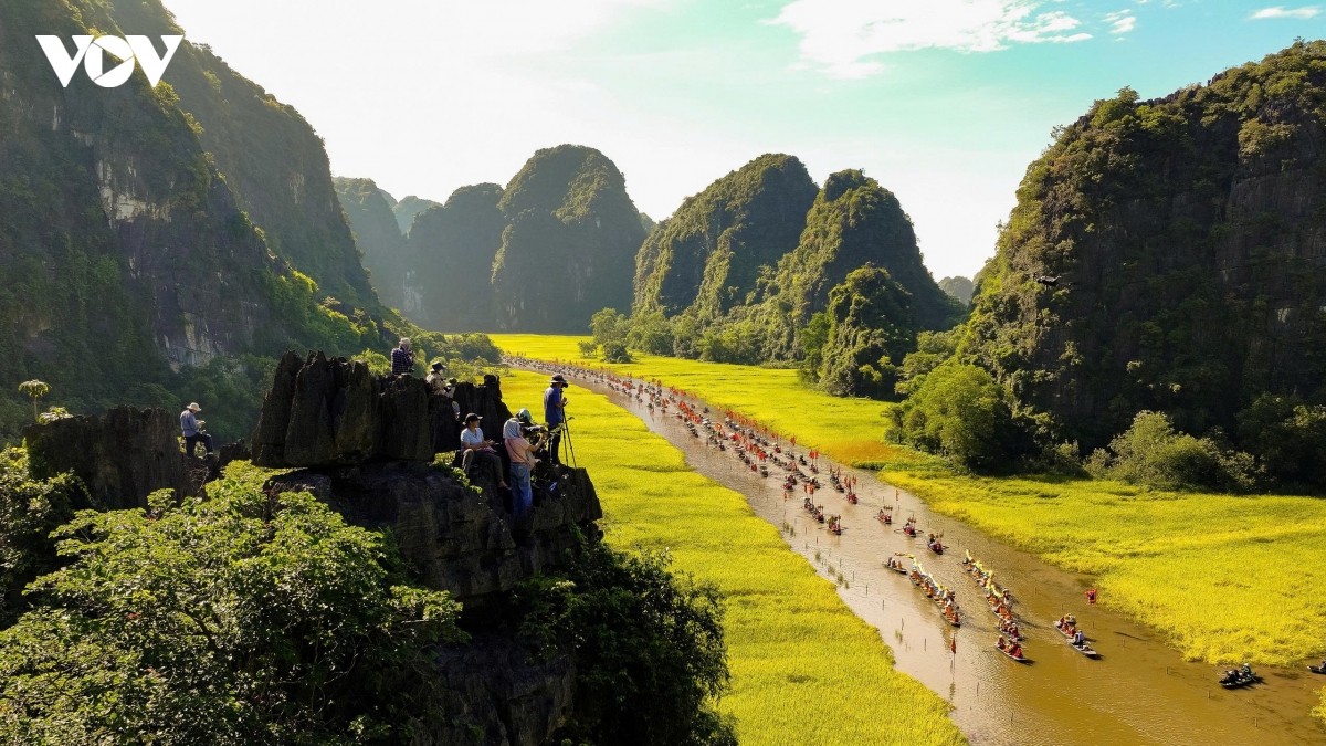 Dòng Ngô Đồng.jpg