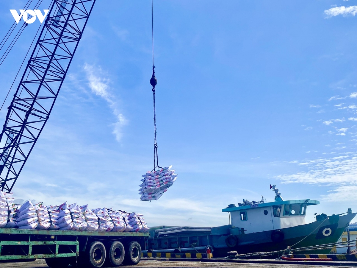 Hệ thống logistics của thành phố Cần Thơ và của vùng vẫn còn nhiều hạn chế.jpg