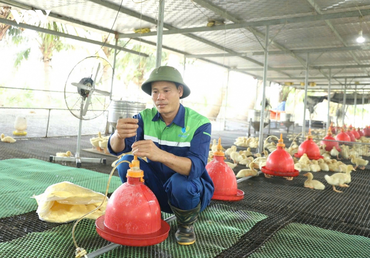 anh_phan_trung_tuyen.jpg