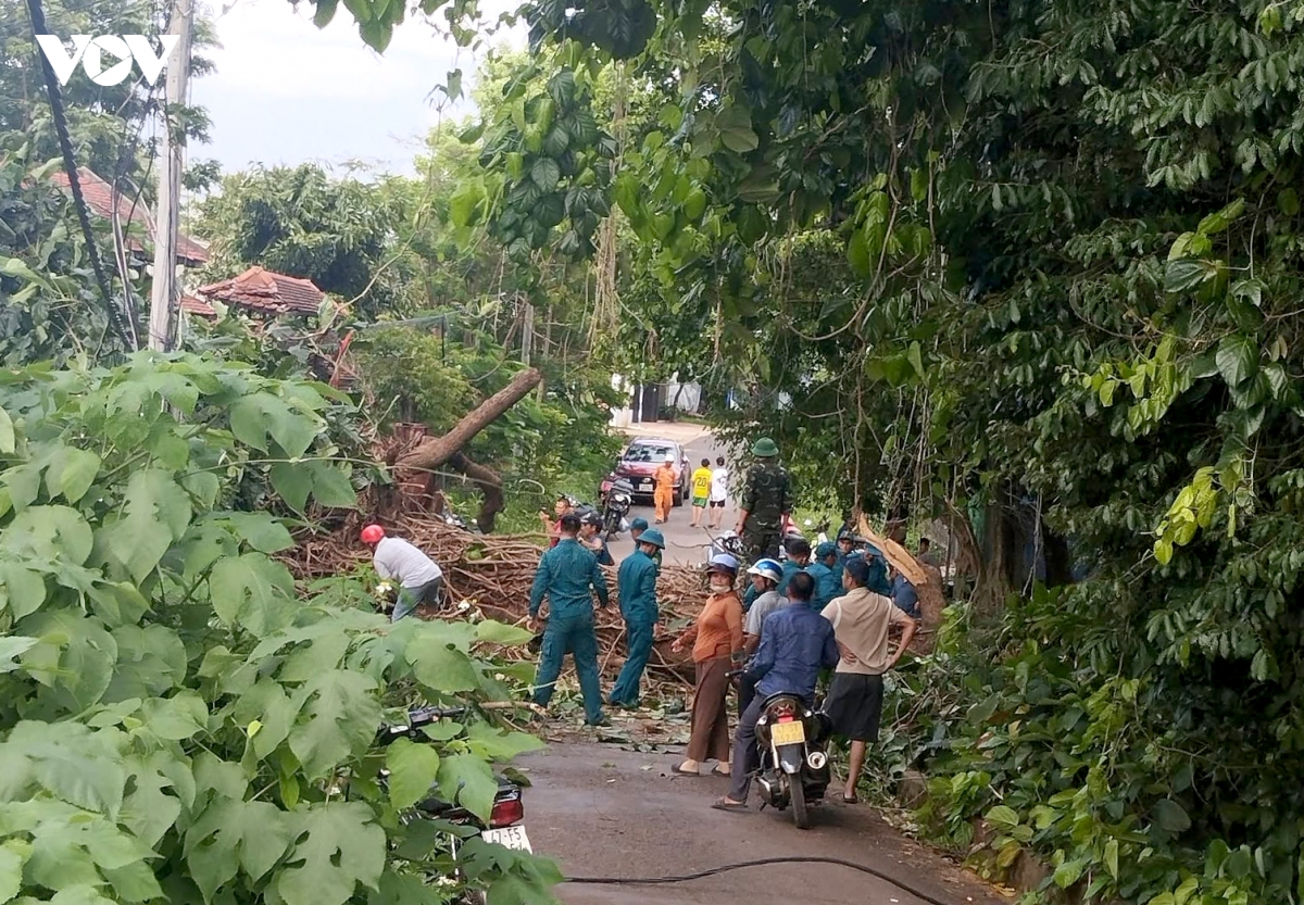 cay_co_thu_tai_khu_vuc_ben_nuoc_buon_ky_bat_ngo_nga_do_de_sap_nha_dan_khien_1_nguoi_bi_thuong.jpg