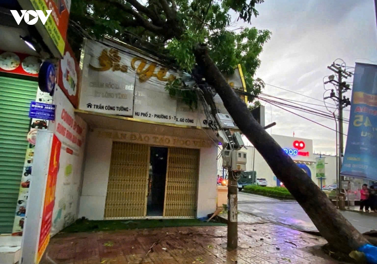 cay_do_nga.jpg