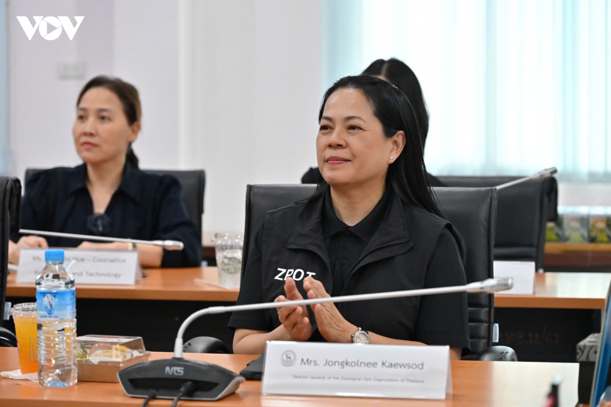 cham_chim_4.jpg